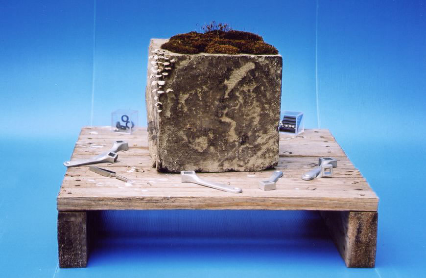 Polycubo Amellario, spread , 2003